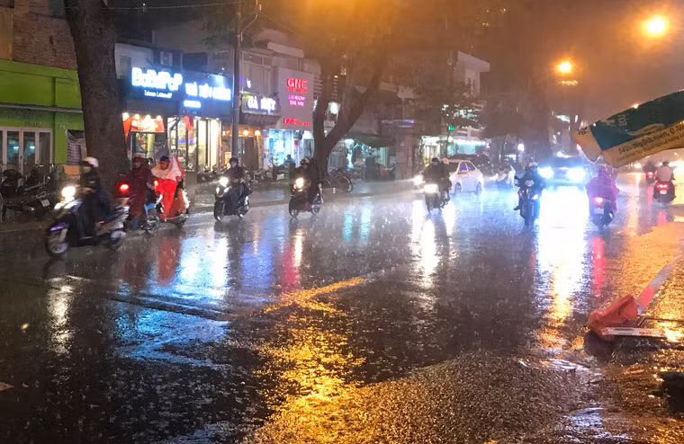 "Nếu mưa trái mùa vẫn tiếp diễn, nhất là sau rằm tháng chạp, khi thời điểm mai lặt lá, hoa trổ nụ thì sẽ gây ảnh hưởng không nhỏ đến chất lượng", một nghệ nhân trồng mai ở quận Thủ Đức lo lắng chia sẻ.