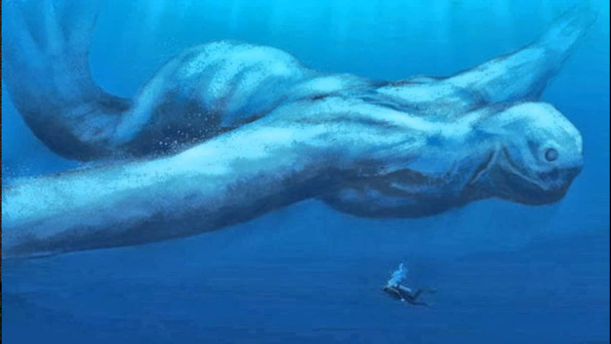 Nếu so sánh với quái vật hồ Loch Ness, quái vật Ningen còn có phần huyền bí và khó lý giải hơn.