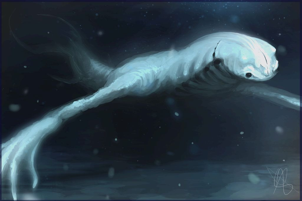 Có nhiều trường hợp cho rằng đã trông thấy Ningen. Đầu tiên là một ngư dân người Nhật vào năm 1990, cho rằng ông đã trông thấy một sinh vật khổng lồ màu trắng và có hình giống con người trên biển Thái Bình Dương.