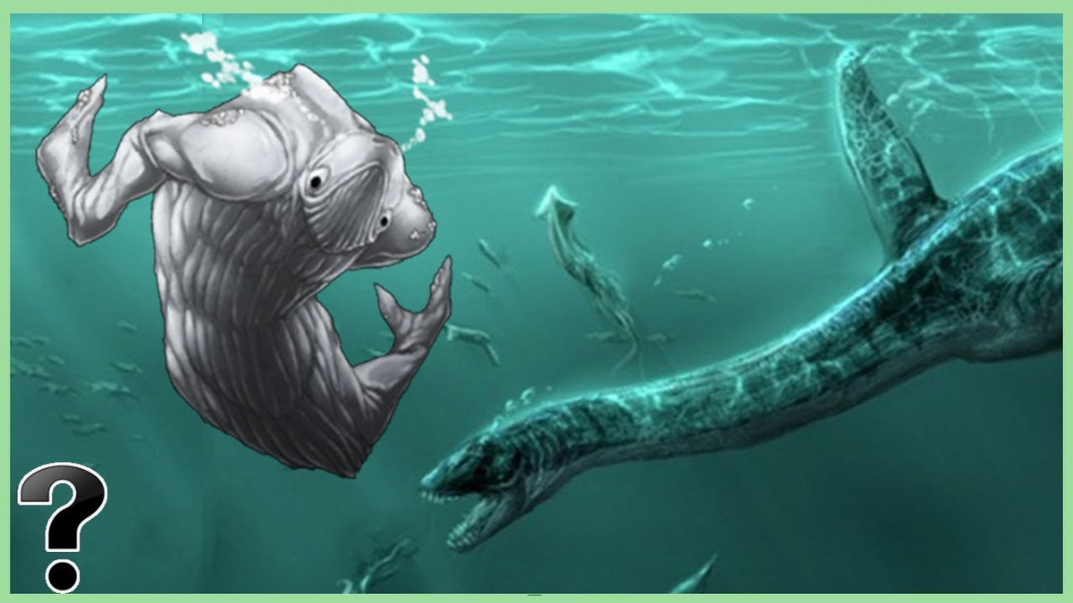 Theo lời đồn, Ningen là một con quái vật được cho là đã tồn tại cùng thời với voi mammoth, nhưng vượt qua được sự khắc nghiệt của thiên nhiên và bàn tay của con người để tồn tại đến tận ngày hôm nay.