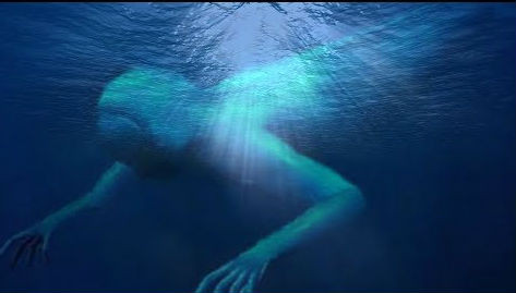 Năm 2007, một nhà khoa học người Nhật đã chia sẻ về một con quái vật do chính mắt ông nhìn thấy. Ông cho biết bản thân đã nhìn thấy một sinh vật bí ẩn dưới đáy đại dương tại Nam Cực. Nó có màu trắng, dài tới 30m, mang thân hình của một loài cá nhưng có 2 tay giống như người.