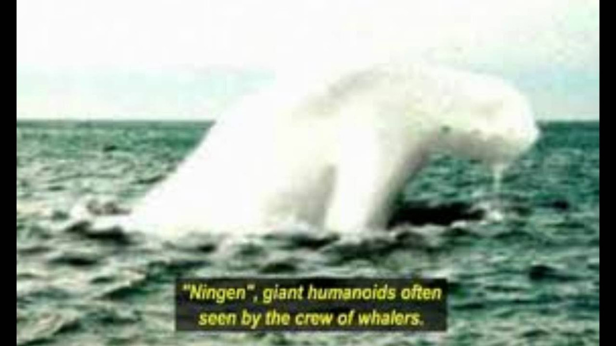 Liệu nó có đáng sợ hơn cả Loch Ness?