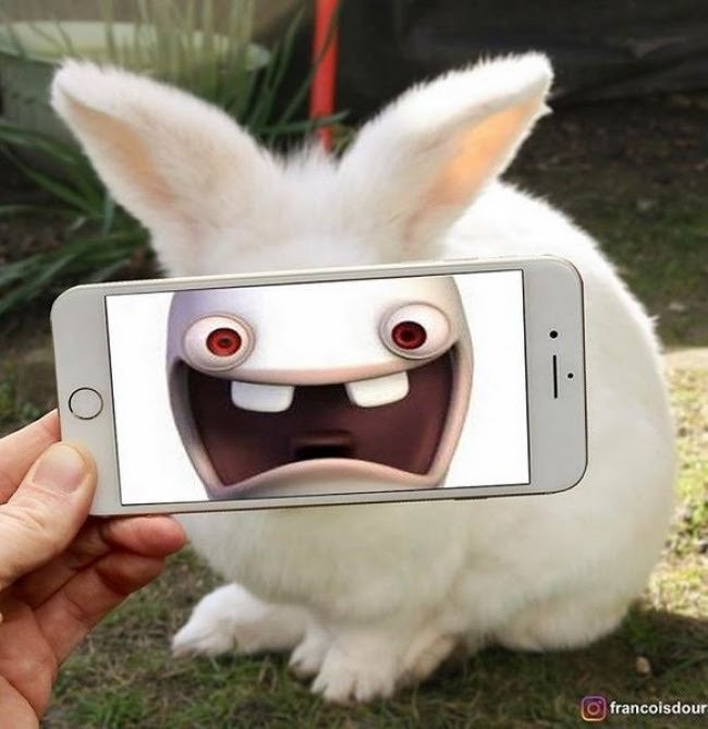 Có mỗi 2 cái răng phải cười thế này mới khoe được chứ.