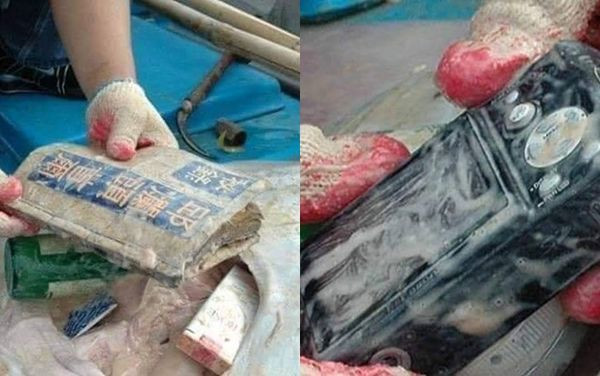 Xac ca duoi dat bo, lai soc voi su that ben trong-Hinh-2