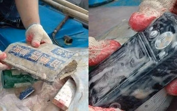 Xac ca duoi dat bo, lai soc voi su that ben trong-Hinh-2