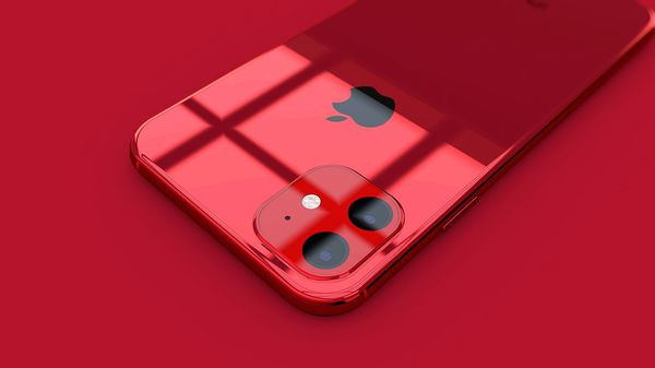 Cũng trong bản thiết kế này, người tiền nhiệm iPhone XR đã được trang bị hệ thống camera kép bao gồm ống kính tele và ống kính góc siêu rộng, các ống kính này trông khá lớn.