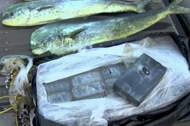 Thay ca nhay lien tuc, phat hien dieu dang so duoi mat nuoc