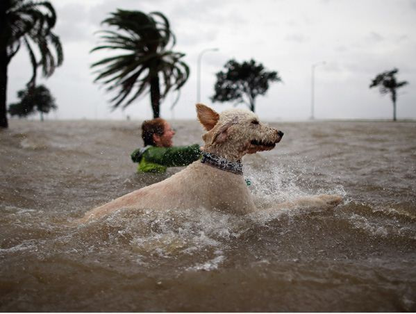 Nhưng sau tất cả, chúng vẫn là bạn bè đáng yêu của con người.