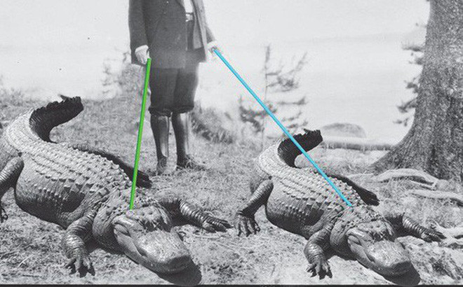 Chuyen di ve thu cung cua Tong thong My: Ca sau song sang chanh