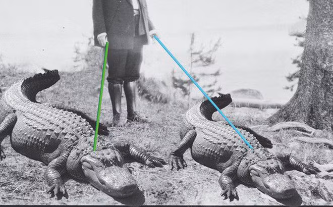 Chuyen di ve thu cung cua Tong thong My: Ca sau song sang chanh