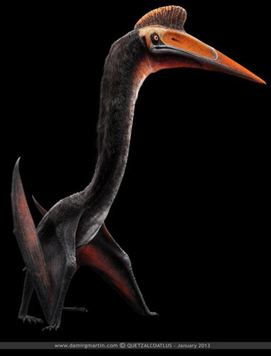 Quetzalcoatlus là một loài khủng long bay được biết đến từ kỷ Phấn Trắng muộn của Bắc Mỹ, khoảng 68-65.5 triệu năm trước. Với chiều cao 10m, nặng 200kg,sải cánh 15m, chúng là một trong những sinh vật biết bay lớn nhất từng tồn tại trên hành tinh. Tên của nó lấy cảm hứng từ Quetzalcoatl - con rắn thần có lông vũ của nền văn minh cổ Trung Mỹ.