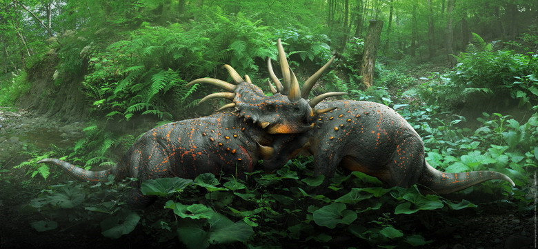 Styracosaurus là một chi khủng long sừng thuộc họ Ceratopsidae sống vào cuối kỷ Phấn Trắng, khoảng 76,5- 75 triệu năm trước ở vùng Bắc Mỹ ngày nay. Nó có từ 4- 6 sừng nhô ra từ các giáp trên đầu, 1 sừng nhỏ ở mỗi bên má và một sừng dài 60 cm nhô ra từ mũi. Những con Styracosaurus trưởng thành dài 5,5 m và nặng khoảng 3 tấn.