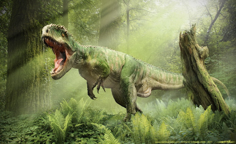 Giganotosaurus là loài khủng long ăn thịt thuộc họ Carcharodontosauridae sống vào 97 triệu năm trước, đầu giai đoạn Cenomanian thuộc Kỷ Phấn Trắng muộn. Nặng trên 7 tấn, Giganotosaurus là một trong những loài khủng long ăn thịt lớn nhất. Nó lớn hơn Tyrannosaurus rex nhưng nhỏ hơn Spinosaurus. Hoá thạch của loài khủng long này chỉ được tìm thấy ở Argentina.