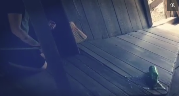 Ngôi nhà bí ẩn ở Oregon, Mỹ Oregon Vortex, một căn nhà kỳ lạ nằm trong khu rừng sâu ẩn chứa nhiều thứ bất thường. Người Mỹ bản địa gọi đây khu vực Cấm, mọi người không nên lui tới. Các nhà nghiên cứu tin rằng có một loại trường lực hình cầu đang tồn tại ở đây, phân bố thành 2 nửa trên và dưới mặt đất, tạo thành một vòng xoáy lực. Chính vì thế, mọi vật trong nhà đều chịu tác động của loại lực lạ này, ví dụ một cây chổi có thể đứng thẳng, hoặc quả bóng có thể tự động lăn trên mặt phẳng. Khách du lịch thậm chí đã sử dụng các thiết bị đặc biệt để đo độ nghiêng và góc để chứng minh rằng không có mánh khóe nào cho những hiện tượng kỳ lạ trên.