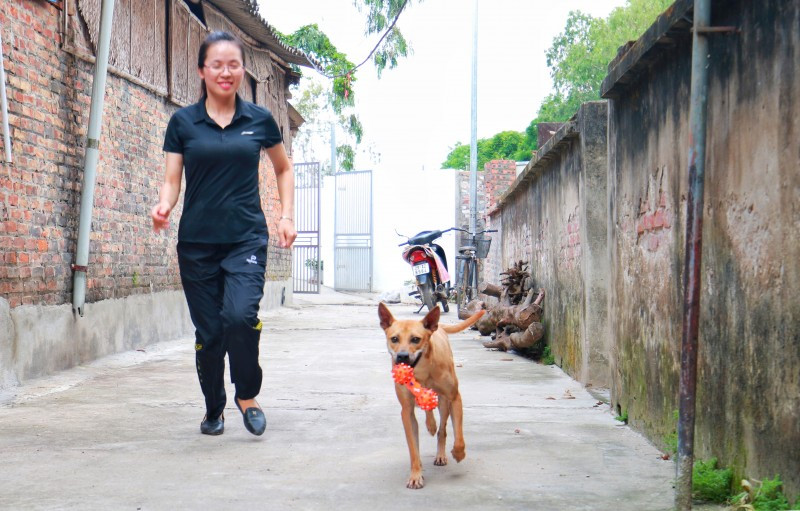 Việc chạy bộ mỗi ngày với chó là điều chị Hà vô cùng chú trọng. Tập luyện thể dục cho chó rất quan trọng để có sức khỏe, thể lực tốt và thể hình cân đối, đẹp chuẩn mới có được sự đánh giá cao khi chó đi thi. Việc tập bóng theo huấn luyện thể thao cũng là một cách để gia tăng liên kết và làm tăng thể lực, độ nhạy bén của cả người huấn luyện và chú chó.