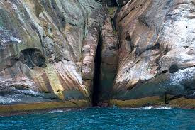 Những con rắn độc này không biết bơi và chúng hoàn toàn bị cô lập trên hòn đảo cách xa bờ tới 90km.