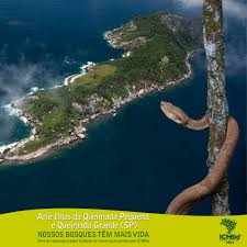 Mật độ rắn dày đặc tập trung trên đảo được coi là một trong các chướng ngại thách thức ngay cả những người dũng cảm và ưa mạo hiểm nhất. Chính vì thế, Ilha da Queimada Grande được coi là một hòn đảo nguy hiểm bậc nhất trên thế giới. Dưới đây là những sự thật về đảo Rắn mà không phải ai cũng biết.