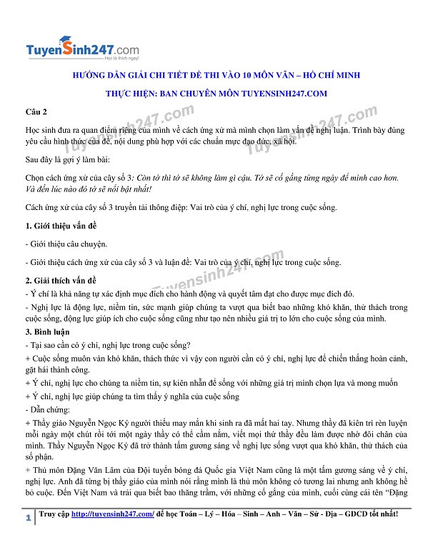 De thi, dap an mon Ngu van vao lop 10 Ha Noi, TPHCM-Hinh-7