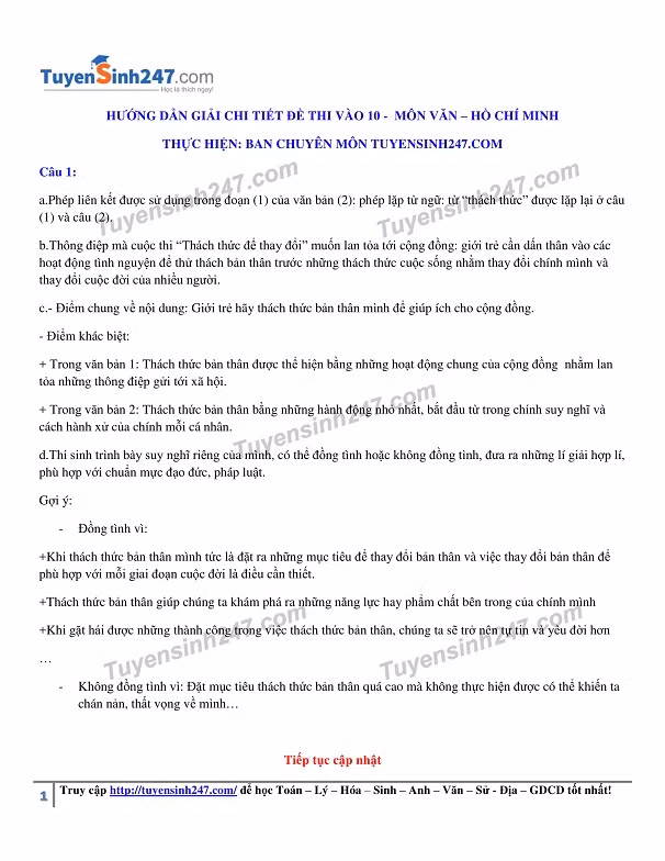 De thi, dap an mon Ngu van vao lop 10 Ha Noi, TPHCM-Hinh-6