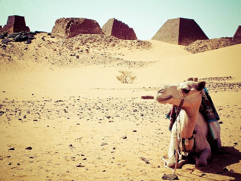 Tháng 6 là thời điểm nóng nhất ở đây, với nhiệt độ trung bình là 41 độ. Nhiệt độ nóng nhất từng được ghi nhận tại Wadi Halfa là 53 độ vào năm 1967 (Theo: Zing)