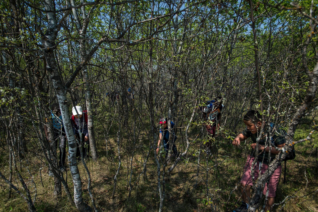 Vào mùa xuân, theo "tiếng gọi tình yêu", hàng chục nghìn con rắn sọc đỏ rời khỏi hang ổ và xâm chiếm mặt đất.