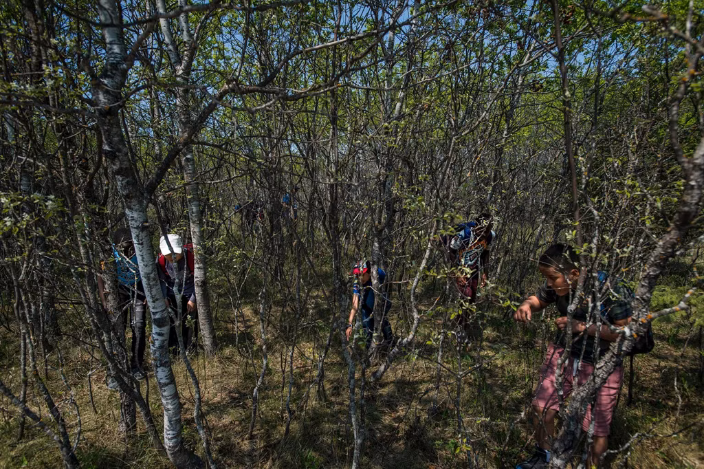 Vào mùa xuân, theo "tiếng gọi tình yêu", hàng chục nghìn con rắn sọc đỏ rời khỏi hang ổ và xâm chiếm mặt đất.