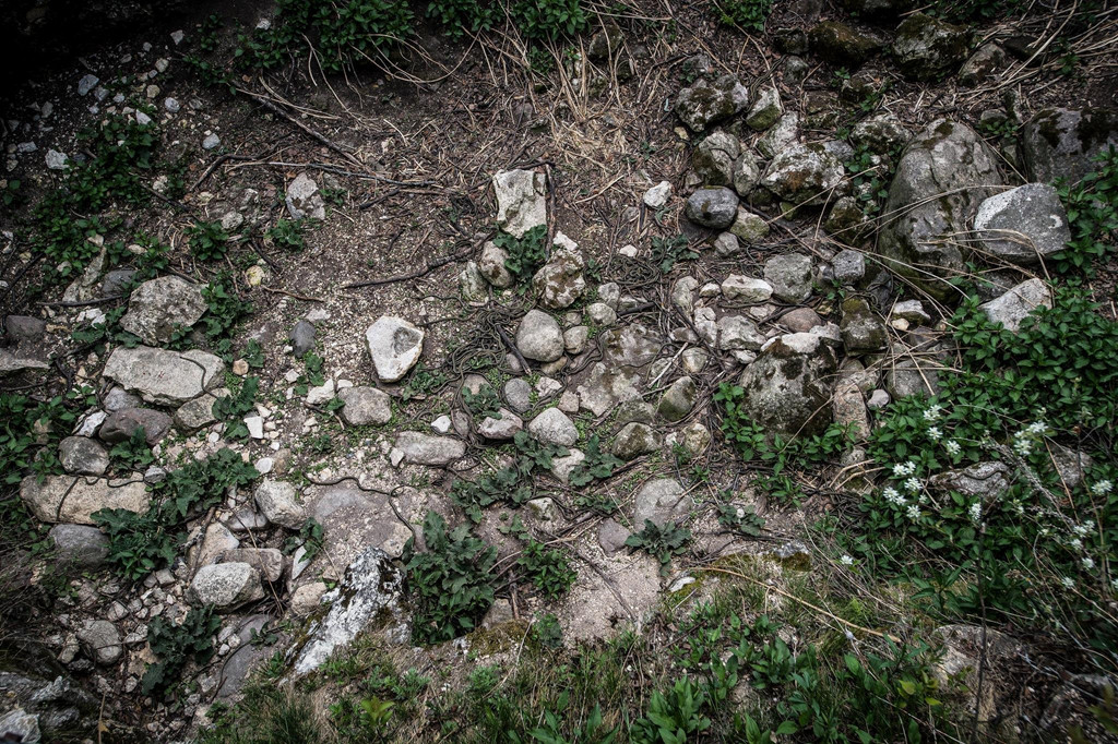 Mùa giao phối của rắn sọc đỏ vào mỗi mùa xuân, thường kéo dài khoảng 10 ngày. Thời điểm bắt đầu sẽ phụ thuộc vào yếu tố thời tiết và rất khó dự đoán chính xác.