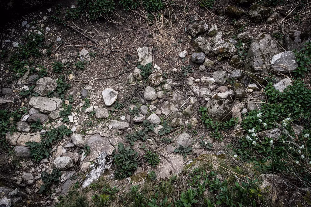 Mùa giao phối của rắn sọc đỏ vào mỗi mùa xuân, thường kéo dài khoảng 10 ngày. Thời điểm bắt đầu sẽ phụ thuộc vào yếu tố thời tiết và rất khó dự đoán chính xác.