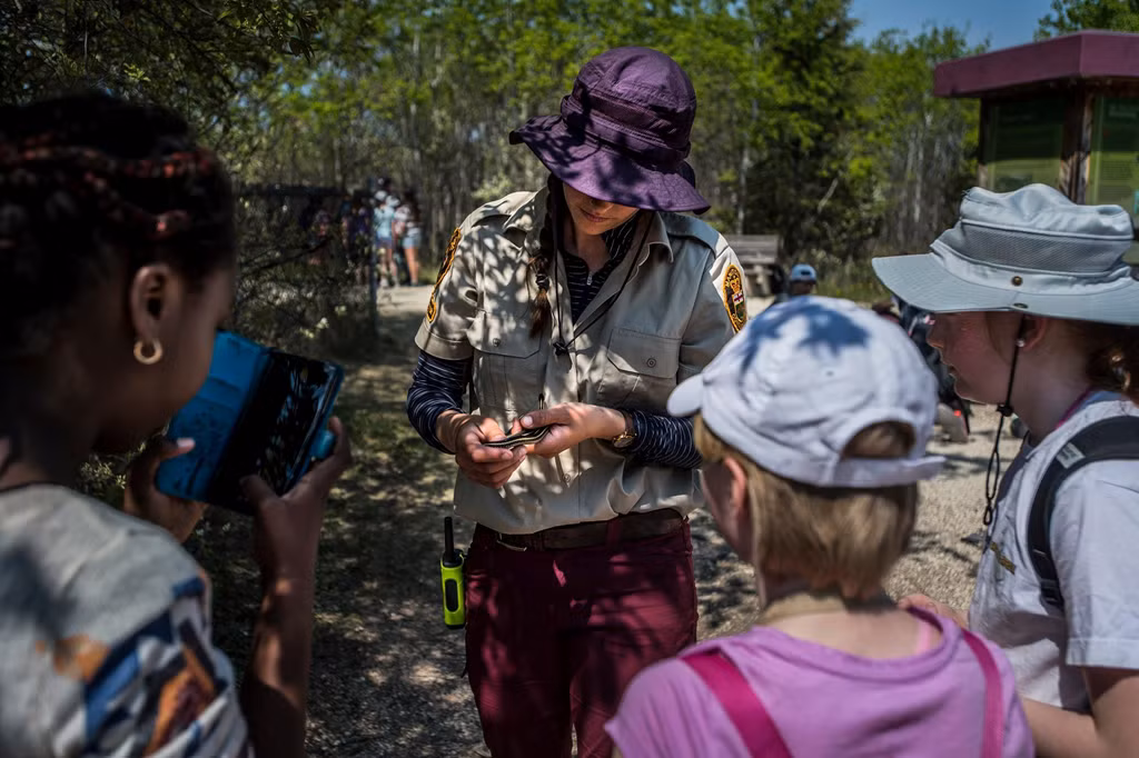 Rắn đầu đỏ không có nọc độc gây nguy hiểm đến tính mạng con người. Vết cắn của chúng chỉ gây cảm giác đau nhói nhé, chứ không đau xé da xét thịt như nhiều loài rắn khác.