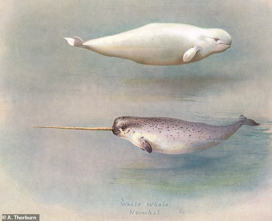 Hình mô phỏng đáng yêu về cặp đôi dị chủng đã yêu nhau và sinh ra sinh vật kỳ lạ nhiều thập kỷ trước - ảnh: A. Thorburn