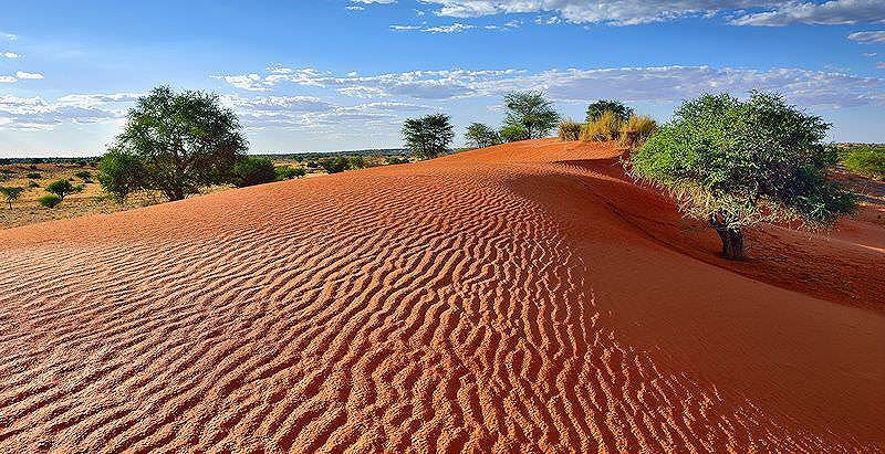 Nhiệt độ ban ngày tại sa mạc vào mùa hè có thể lên đến 45 độ C. Còn vào những đêm mùa đông, nhiệt độ có thể hạ xuống -15 độ C. Với sự chênh lệch nhiệt độ lớn, vùng đất nóng này được xem là sa mạc khắc nghiệt, khó tồn tại sự sống