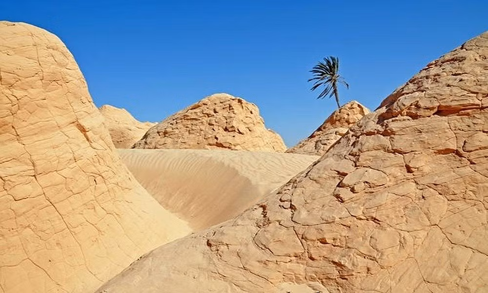Kebili, một ốc đảo miền trung Tunisia, là nơi người dân thường lui tới để tránh nóng do có những cây cọ tạo bóng râm và nguồn nước (Theo: VnExpress)
