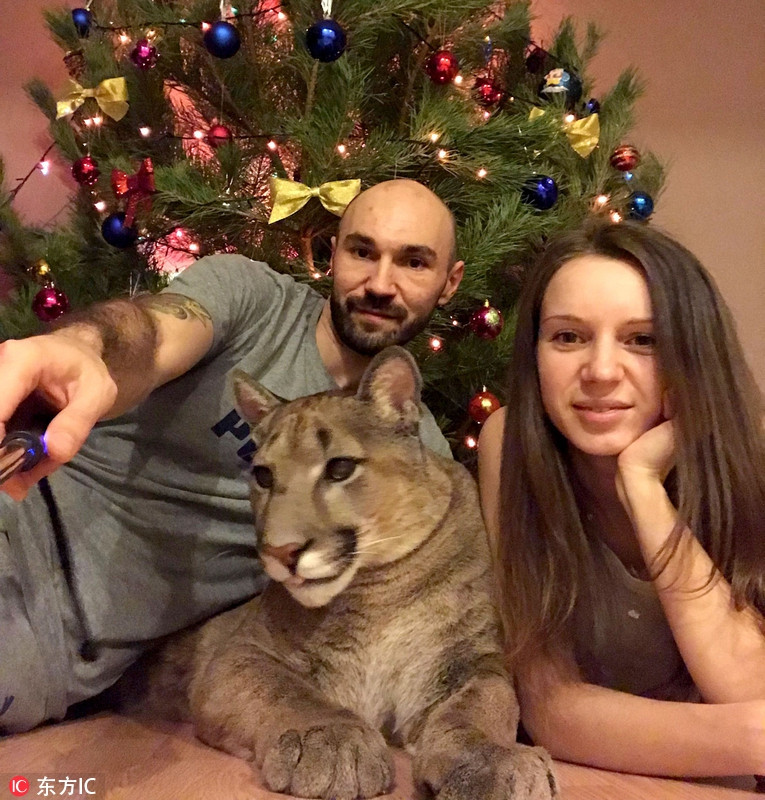 Cả hai cho thú cưng cùng ngủ, cùng ăn với mình.