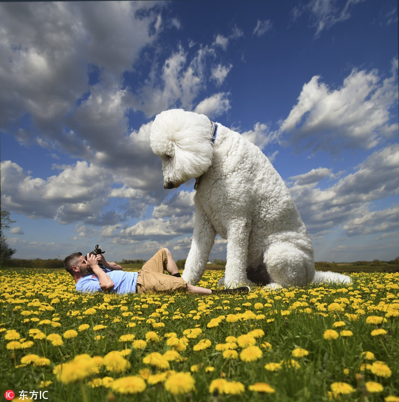 Sinh sống tại thành phố Buffalo, bang Minnesota, Mỹ, nhiếp ảnh gia Christopher Cline trở nên nổi tiếng với những cuộc phiêu lưu tràn ngập màu sắc và cảm hứng cùng chú chó cưng khổng lồ.