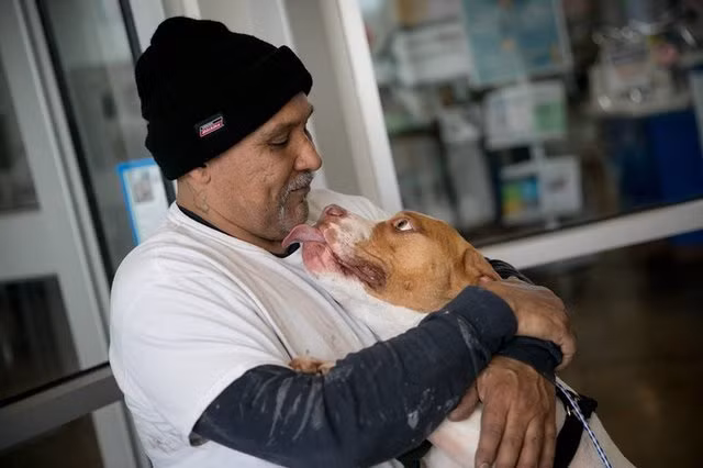 Tuy rằng ông Lewis có nhiều lần ghé thăm nhưng sau mỗi lần ghé thăm, ông đều rời đi trong nước mắt, còn chú chó Titus thì đau khổ, không còn là chính mình.