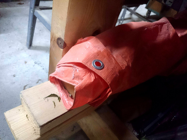 Túi nhựa này có gì kỳ lạ? Nó trông giống hệt như một con cá đang há rộng miệng để đớp mồi.