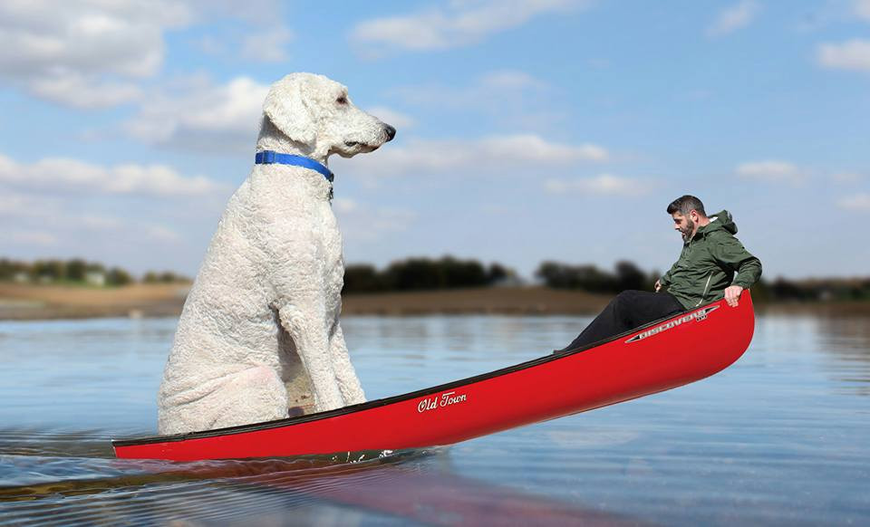 Những hình ảnh của Christopher vô cùng sáng tạo, gần gũi, tràn đầy cảm hứng.
