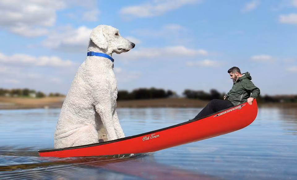 Những hình ảnh của Christopher vô cùng sáng tạo, gần gũi, tràn đầy cảm hứng.