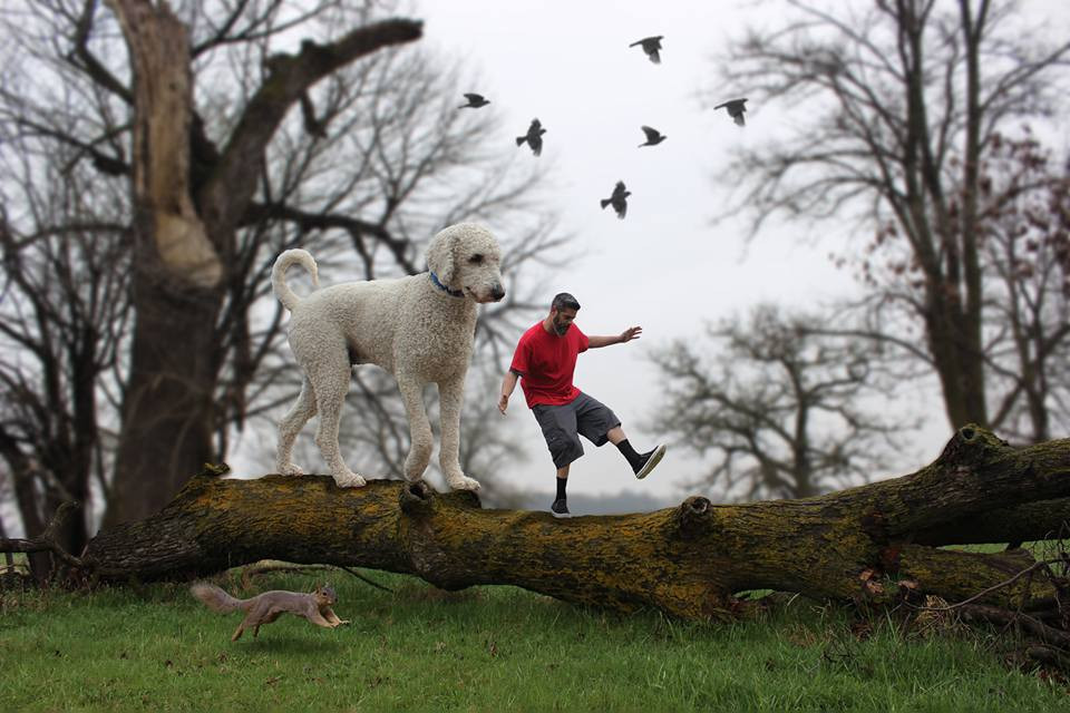 Sau đó, anh sẽ dùng phần mềm photoshop để biến chú chó cưng của mình trở thành một chú chó khổng lồ.