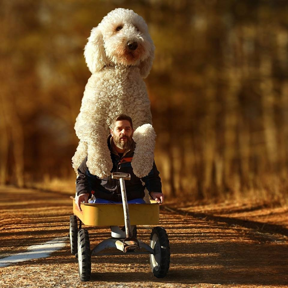 Cũng nhờ thế, nhiếp ảnh gia có nhiều cơ hội để tận hưởng vẻ đẹp thiên nhiên, hít thở bầu không khí trong lành.