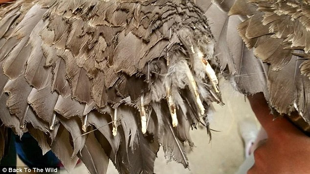 Sinh mệnh nào cũng quý giá, không hề phân biệt sang hèn, giàu nghèo, giống loài. Cho dù chỉ là động vật, chúng cũng có tình cảm mẫu tử chân thành.