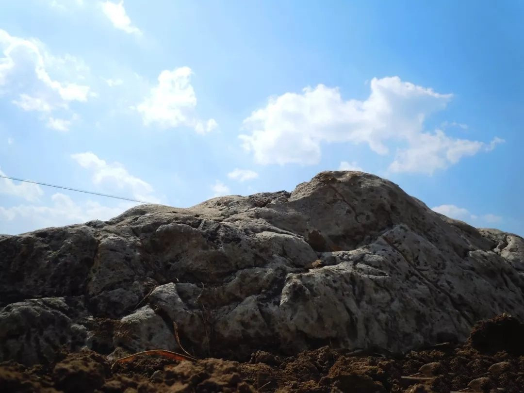 Sau khi những thông tin và hình ảnh về ngọn núi nhỏ nhất thế giới được truyền thông đưa tin, rất nhanh đã gây xôn xao dư luận, thu hút nhiều người bàn tán. Có người sau khi nhìn thấy ngọn núi Tĩnh Sơn đã trào phúng bình luận: "Một bước có thể lên tới đỉnh núi, thực sự lần đầu tiên có cảm giác được làm người khổng lồ".