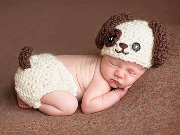 Những em bé tuổi Tuất thường rất thông minh, nhanh nhẹn, có chỉ số IQ cao. Ảnh minh họa