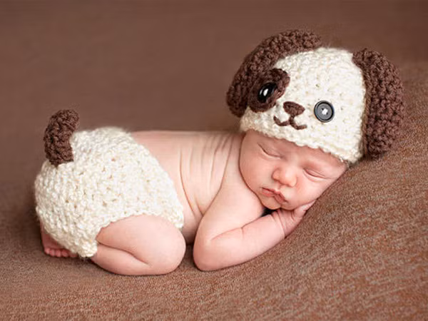 Những em bé tuổi Tuất thường rất thông minh, nhanh nhẹn, có chỉ số IQ cao. Ảnh minh họa