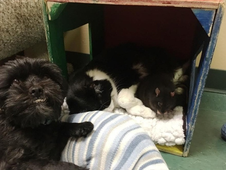 Quan hệ của bộ ba Sasha, Jack và Tweaks vô cùng thân mật.