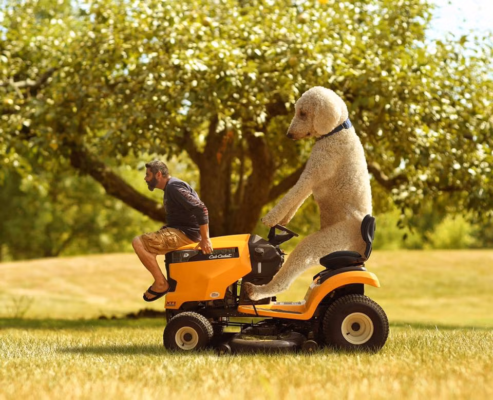 Anh và chú chó cưng Juji trở thành người nổi tiếng.