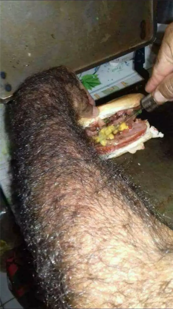 Bạn có thoải mái không khi bàn tay đầy lông lá này phục vụ một chiếc bánh mì kẹp?
