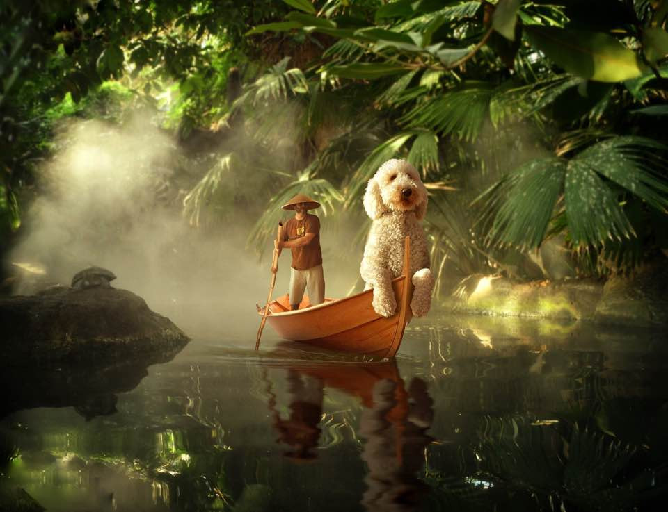 Trong những lần dạo chơi với Juji, nhiếp ảnh gia Christopher nảy ra ý định sẽ biến những cuộc dạo chơi của họ thành chủ đề sáng tác của mình. Những cuộc phiêu lưu với chó cưng khổng lồ ra đời từ đó.