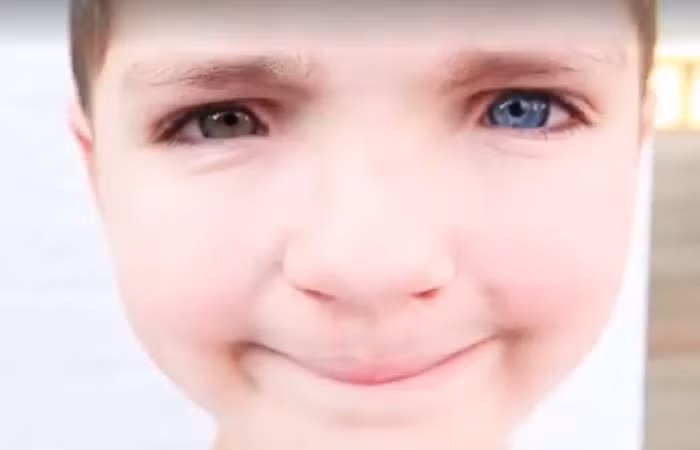 Chú mèo Moon chắc chắn sẽ là một phần cực kỳ quan trọng trong hành trình trưởng thành của cậu bé Madden.