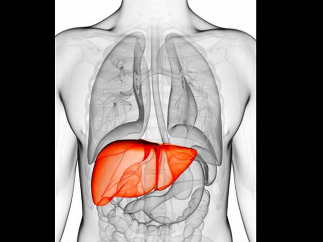 Điều trị viêm gan: Gan là một trong những phần quan trọng nhất của cơ thể con người. Khi gan bị rối loạn có thể gây tử vong. Thói quen ăn uống không lành mạnh, uống rượu bia quá mức, nhiễm trùng, tác dụng phụ của thuốc ... có thể dẫn đến viêm gan. Việc uống hỗn hợp nước ép bầu và gừng được biết là làm giảm viêm gan.